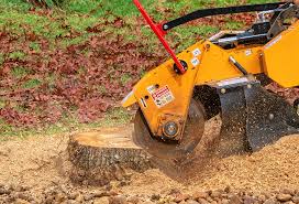 Best Soil Testing and Treatment  in Monteagle, TN