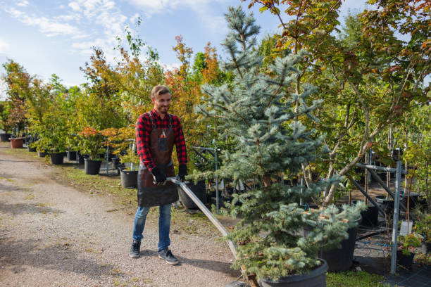 Best Tree Trimming and Pruning  in Monteagle, TN